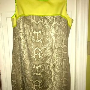 tahari snakeskin dress lime green